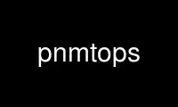 Run pnmtops in OnWorks free hosting provider over Ubuntu Online, Fedora Online, Windows online emulator or MAC OS online emulator