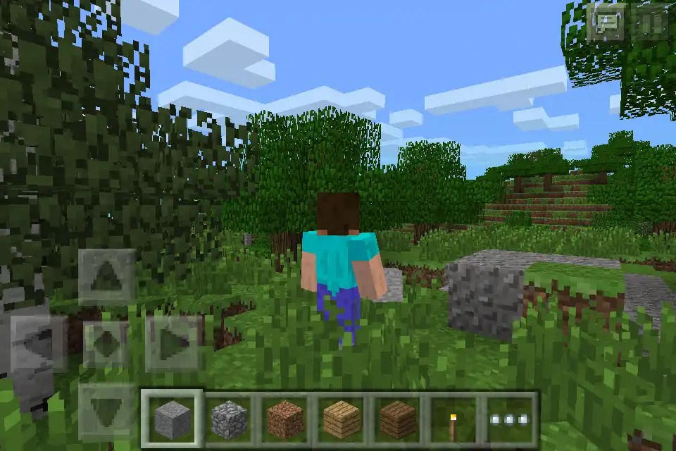 Download web tool or web app PocketMine-MP to run in Windows online over Linux online
