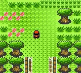 Muat turun alat web atau aplikasi web POKEMON GOLD - Projek Pemulihan Beta untuk dijalankan di Linux dalam talian