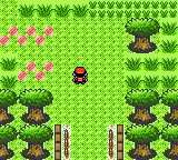 Download web tool or web app POKEMON GOLD - Beta Restoration Project to run in Windows online over Linux online
