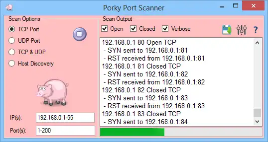 Download webtool of webapp Porky Port Scanner