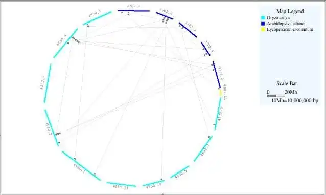 Download web tool or web app Praxiteles
