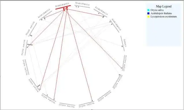 Download web tool or web app Praxiteles