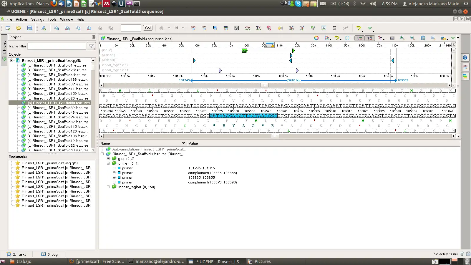Download web tool or web app primeScaff