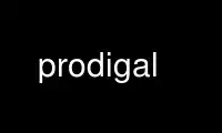 ດໍາເນີນການ prodigal ໃນ OnWorks ຜູ້ໃຫ້ບໍລິການໂຮດຟຣີຜ່ານ Ubuntu Online, Fedora Online, Windows online emulator ຫຼື MAC OS online emulator