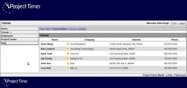 Download web tool or web app Project Timer