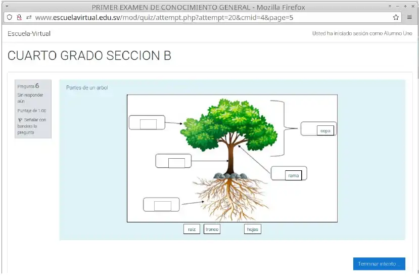 Download web tool or web app PROYECTO-LMS-SV