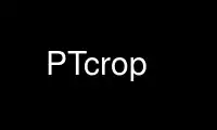 Run PTcrop in OnWorks free hosting provider over Ubuntu Online, Fedora Online, Windows online emulator or MAC OS online emulator