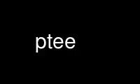 Run ptee in OnWorks free hosting provider over Ubuntu Online, Fedora Online, Windows online emulator or MAC OS online emulator