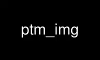 Run ptm_img in OnWorks free hosting provider over Ubuntu Online, Fedora Online, Windows online emulator or MAC OS online emulator
