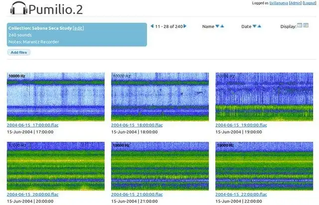 Descărcați instrumentul web sau aplicația web Pumilio