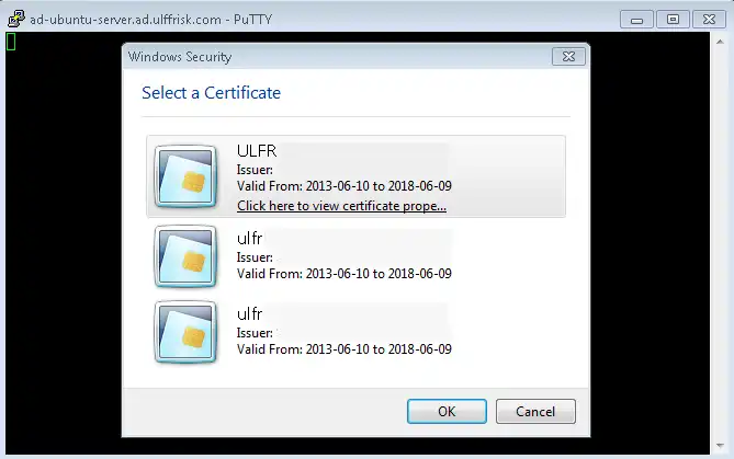 Download web tool or web app puttywincrypt