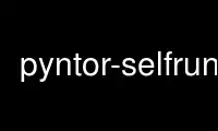 Run pyntor-selfrun in OnWorks free hosting provider over Ubuntu Online, Fedora Online, Windows online emulator or MAC OS online emulator