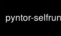 เรียกใช้ pyntor-selfrun ในผู้ให้บริการโฮสต์ฟรีของ OnWorks ผ่าน Ubuntu Online, Fedora Online, โปรแกรมจำลองออนไลน์ของ Windows หรือโปรแกรมจำลองออนไลน์ของ MAC OS