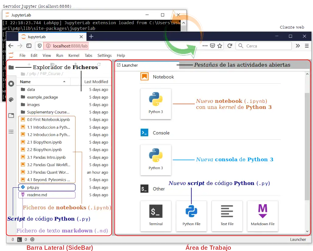 Download web tool or web app Python4Proteomics Course