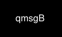 Run qmsgB in OnWorks free hosting provider over Ubuntu Online, Fedora Online, Windows online emulator or MAC OS online emulator