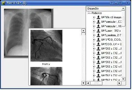 Download web tool or web app Qt4 Dicom Widget set to run in Linux online