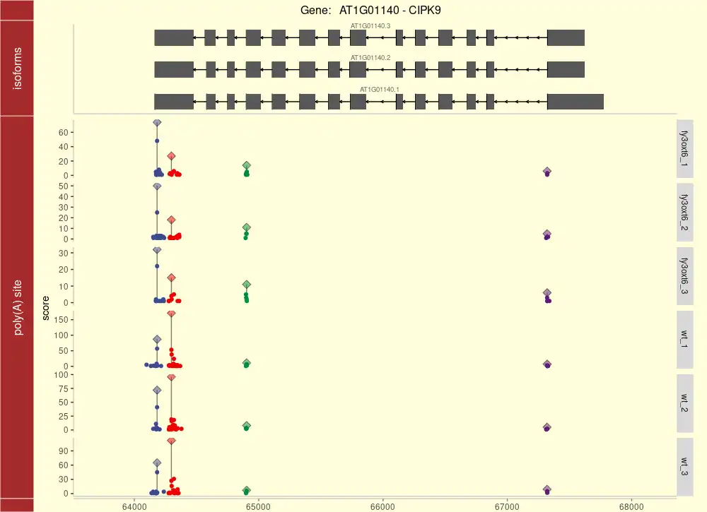 Download webtool of webapp QuantifyPoly(A)