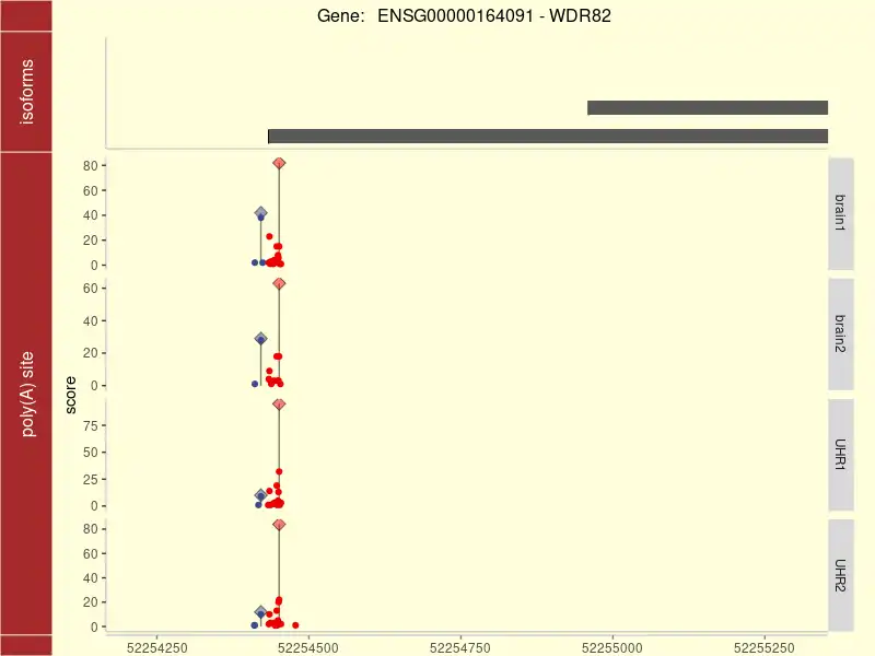 Descargue la herramienta web o la aplicación web QuantifyPoly(A)