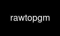 Run rawtopgm in OnWorks free hosting provider over Ubuntu Online, Fedora Online, Windows online emulator or MAC OS online emulator