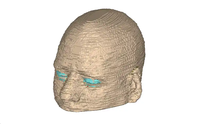 Download web tool or web app Realistic Human Head Voxel Model