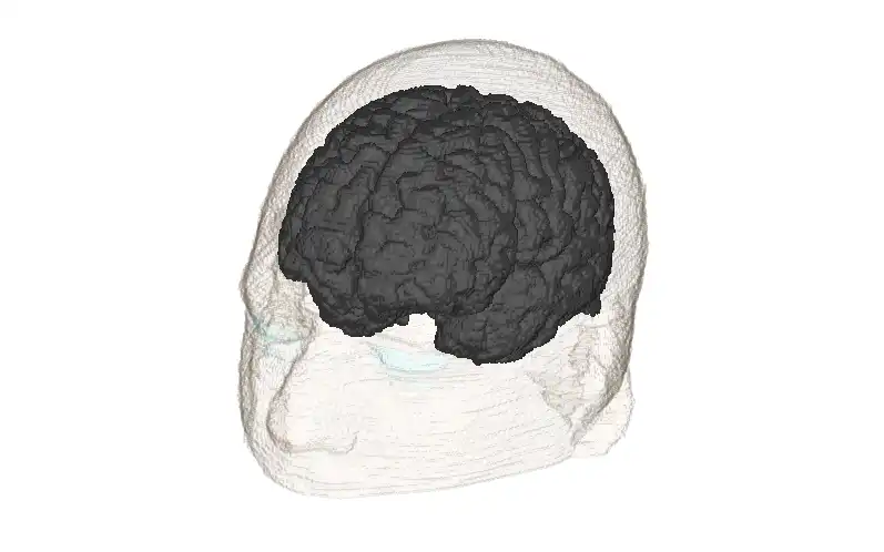 Descargue la herramienta web o la aplicación web Modelo de voxel de cabeza humana realista