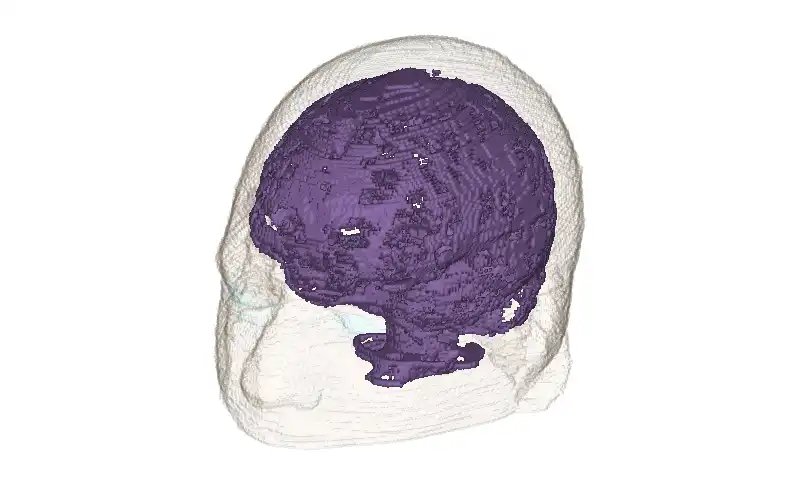 Descargue la herramienta web o la aplicación web Modelo de voxel de cabeza humana realista