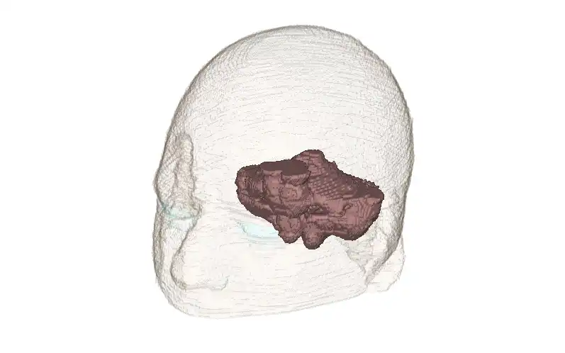 Descargue la herramienta web o la aplicación web Modelo de voxel de cabeza humana realista