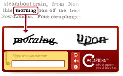 Download web tool or web app ReCaptcha plugin for Kooboo CMS