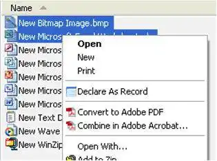 Download web tool or web app Records Management Assistant