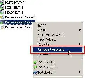 Download web tool or web app RemoveReadOnly