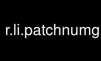Run r.li.patchnumgrass in OnWorks free hosting provider over Ubuntu Online, Fedora Online, Windows online emulator or MAC OS online emulator