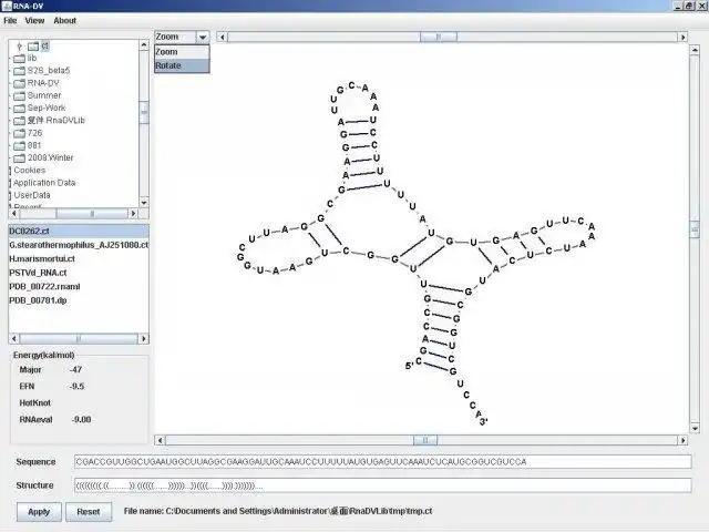 Download web tool or web app RNA-DV