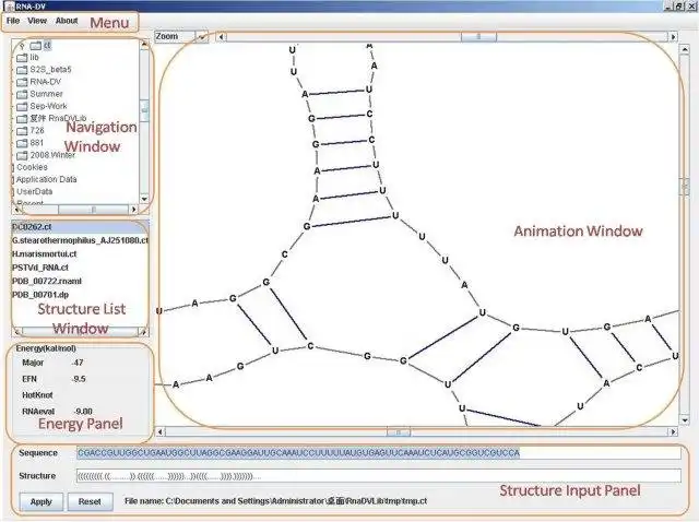 Download web tool or web app RNA-DV