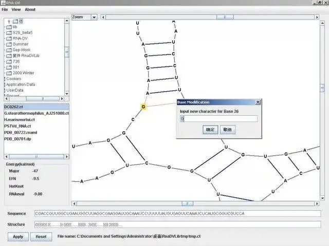 Download web tool or web app RNA-DV