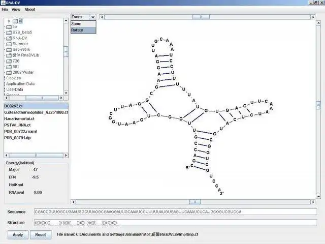Download web tool or web app RNA-DV to run in Windows online over Linux online