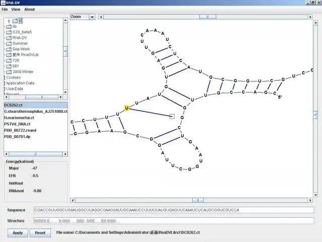 Download web tool or web app RNA-DV to run in Windows online over Linux online