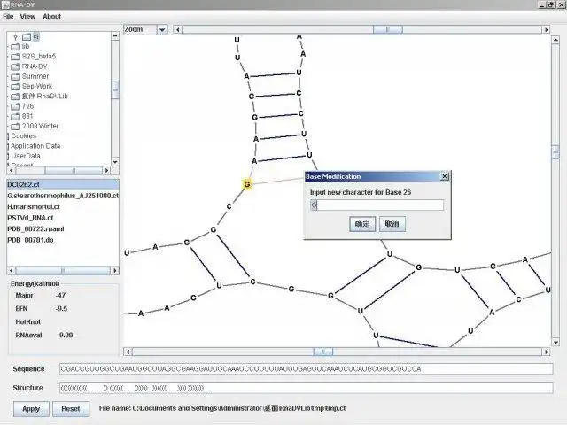 Download web tool or web app RNA-DV to run in Windows online over Linux online