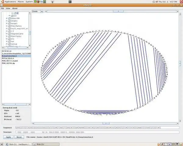 Download web tool or web app RNA-DV to run in Windows online over Linux online