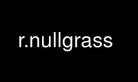 Run r.nullgrass in OnWorks free hosting provider over Ubuntu Online, Fedora Online, Windows online emulator or MAC OS online emulator