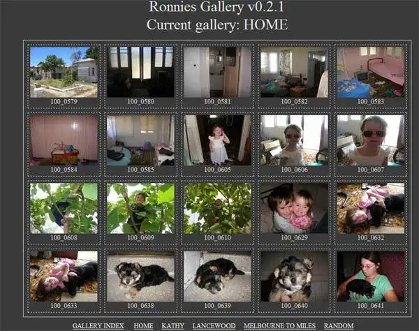 Download web tool or web app Ronnies Gallery