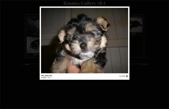 Download web tool or web app Ronnies Gallery