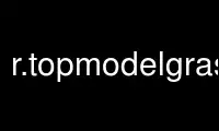 Run r.topmodelgrass in OnWorks free hosting provider over Ubuntu Online, Fedora Online, Windows online emulator or MAC OS online emulator