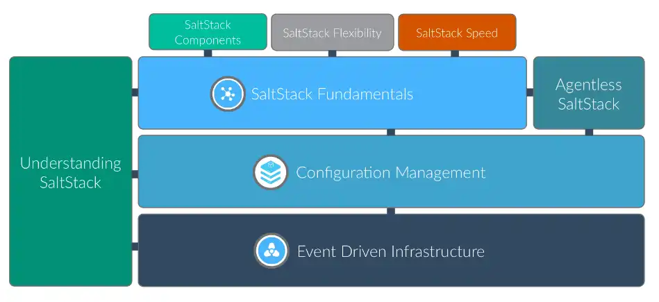 ابزار وب یا برنامه وب SaltStack را دانلود کنید