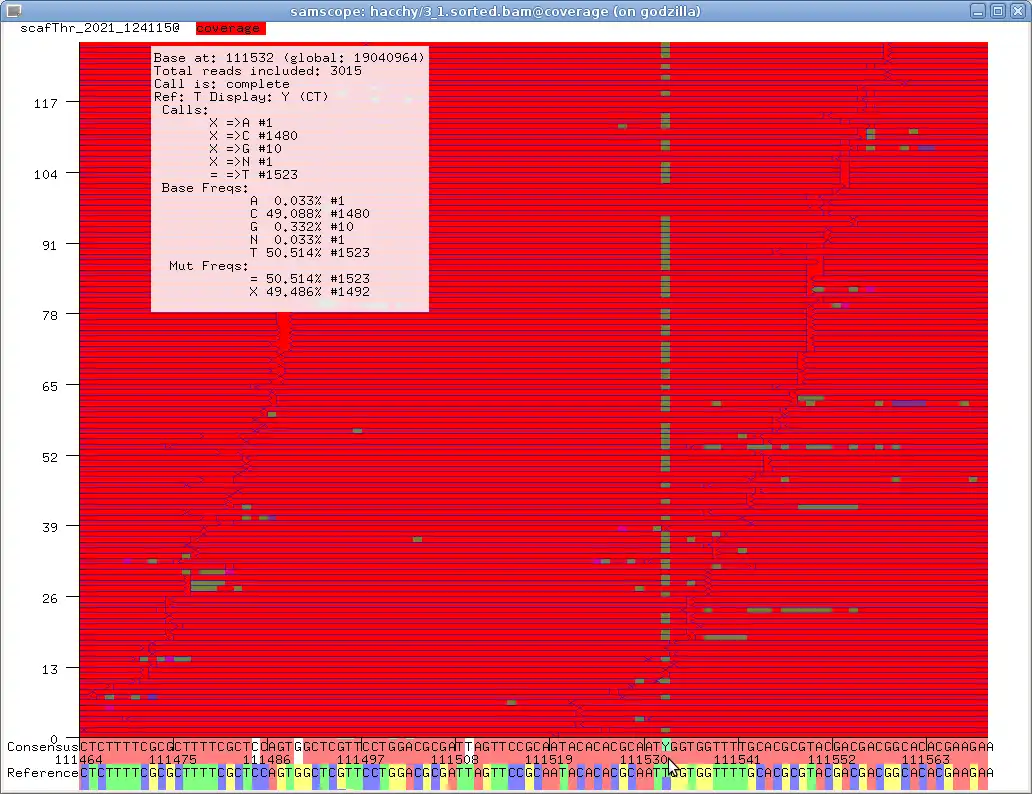 Descargue la herramienta web o la aplicación web samscope para ejecutar en Linux en línea