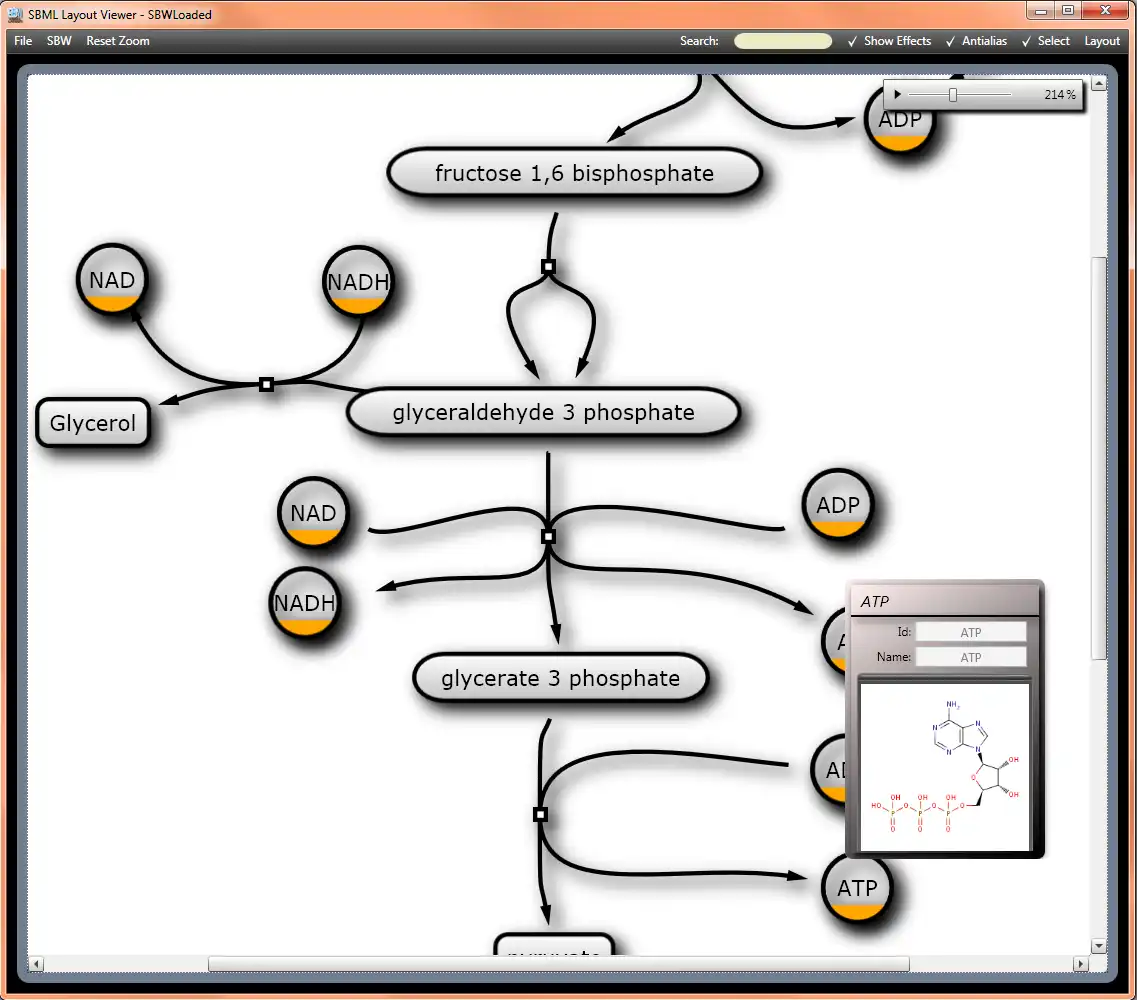 Download webtool of webapp SBML Layout: Grafische SBML Annotaties