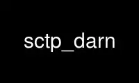 Run sctp_darn in OnWorks free hosting provider over Ubuntu Online, Fedora Online, Windows online emulator or MAC OS online emulator