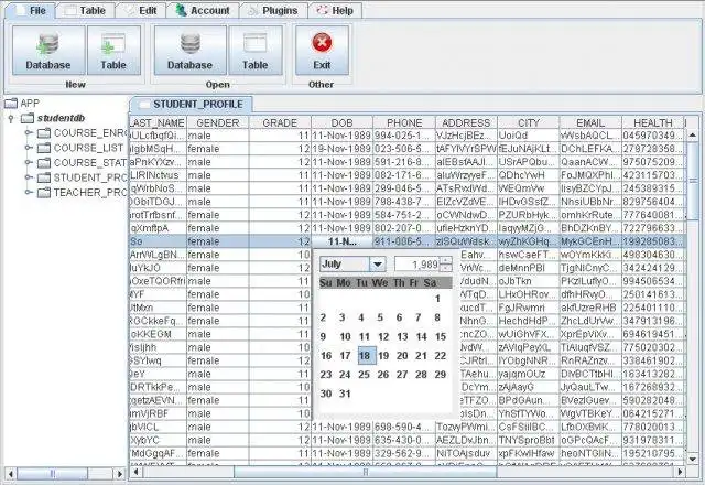 Download web tool or web app SDBC: a swing-based database client