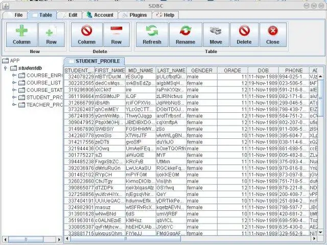 Download web tool or web app SDBC: a swing-based database client