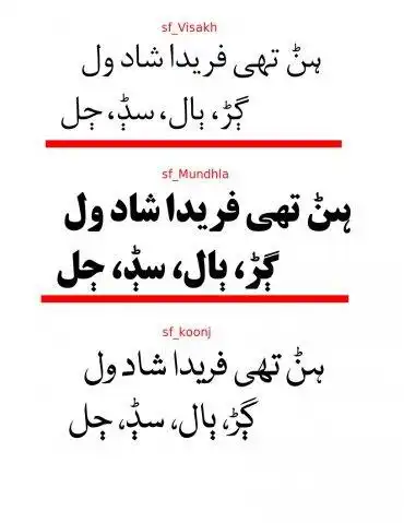 Download web tool or web app Seraiki Fonts
